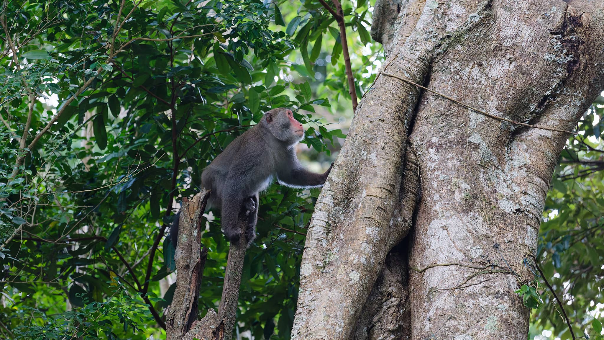 07 - Chishang (5).jpg